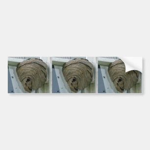 Hornets Nest Bumper Sticker