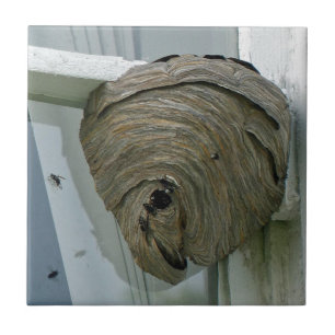 Hornets Nest Tile