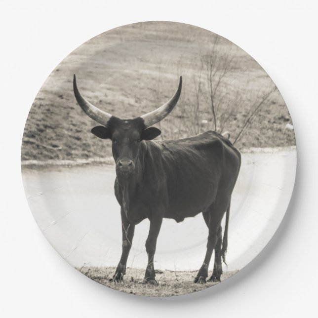 Horns Paper Plate (Front)