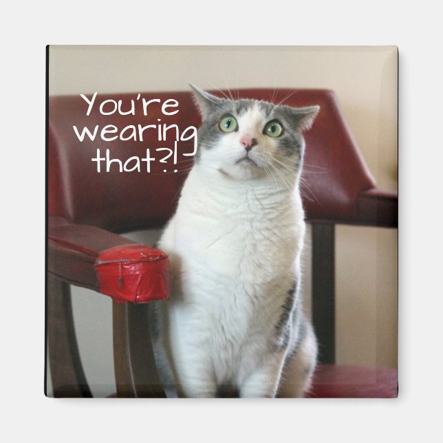 Horrified Cat Magnet (Front)