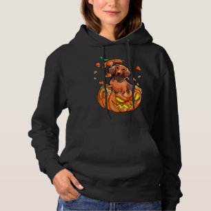 Horror Dachshund Dog In Scary Pumpkin Hoodie