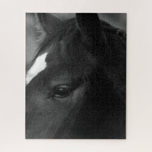 Horse 16x20 520pc jpcna jigsaw puzzle