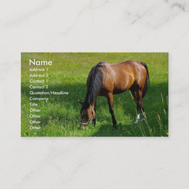 Horse #1 business card (Front)
