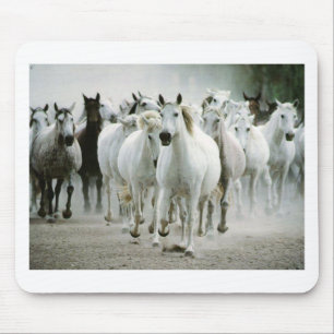 Horse (1) mouse pad
