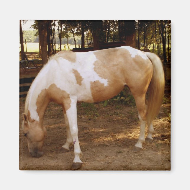 Horse 3, Magnet (Front)