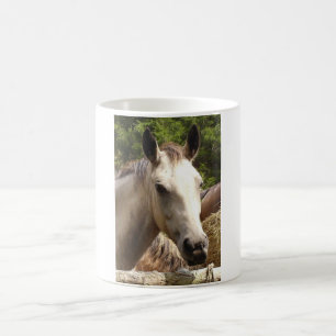 Horse 4  Mug