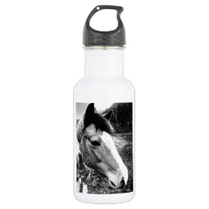 Horse 532 Ml Water Bottle