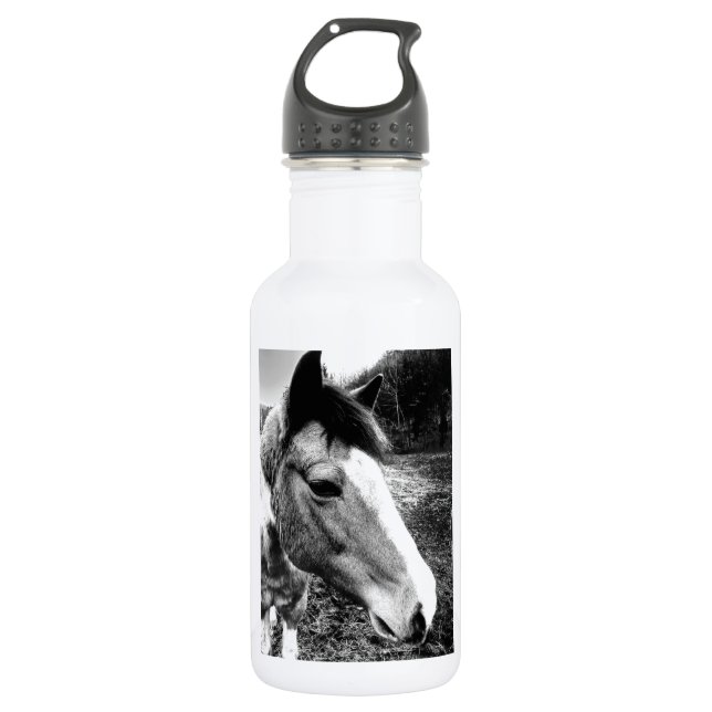 Horse 532 Ml Water Bottle (Front)