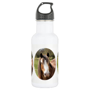 HORSE 532 ML WATER BOTTLE