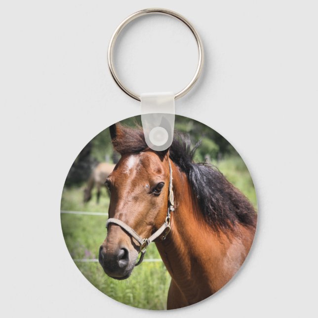 Horse 8674 key ring (Front)