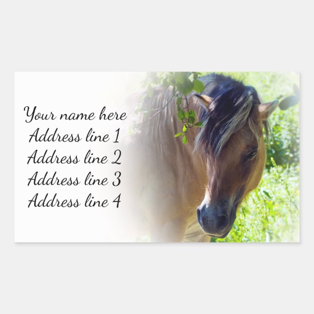Horse Address Labels (Front)