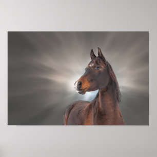 Horse against Clouds Poster
