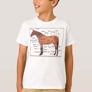 horse anatomy tee