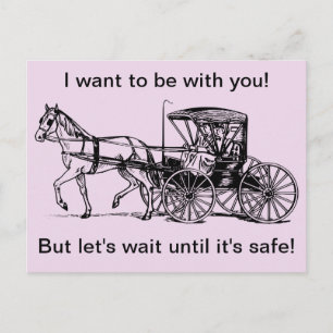 Horse and Buggy Postcard
