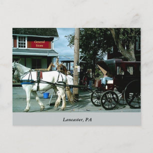 Horse and Buggy Postcard