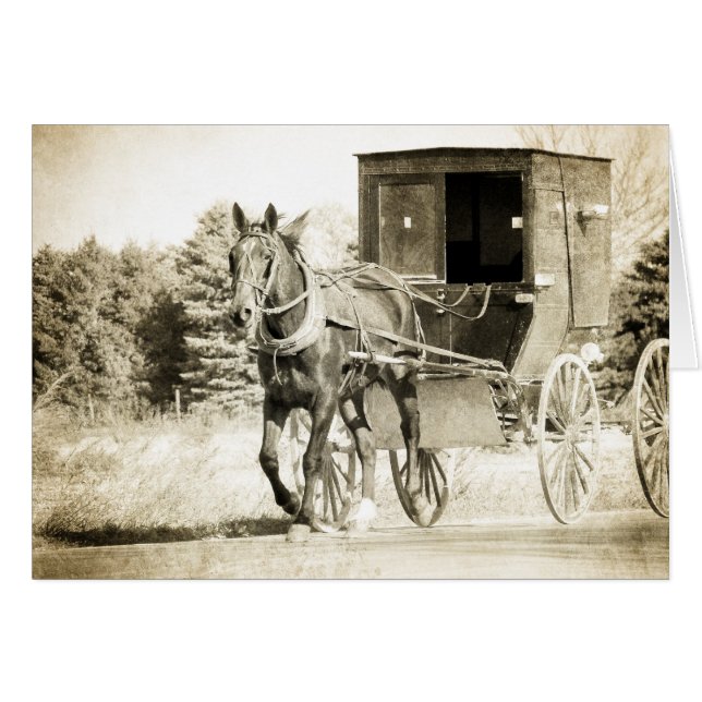 Horse and Buggy Sepia All Occasions Greeting  Card (Front Horizontal)