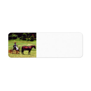 Horse and carriage address labels