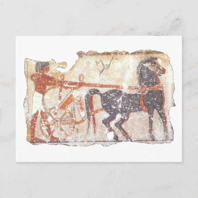 Horse and Chariot Postcard (Front)