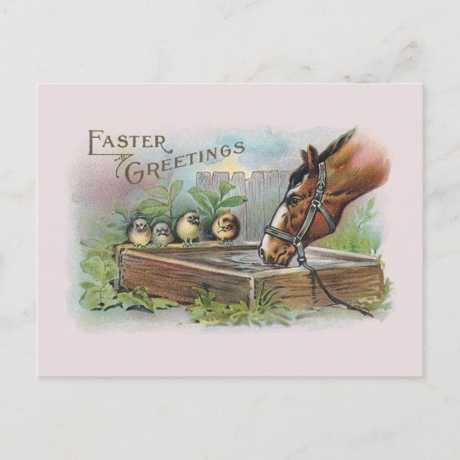 Horse and Chicks Vintage Easter Holiday Postcard (Front)