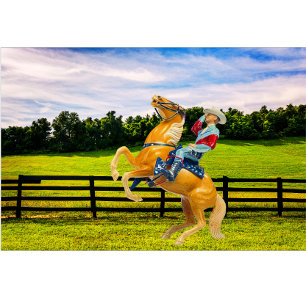 Horse and Cowboy Lumbar Cushion
