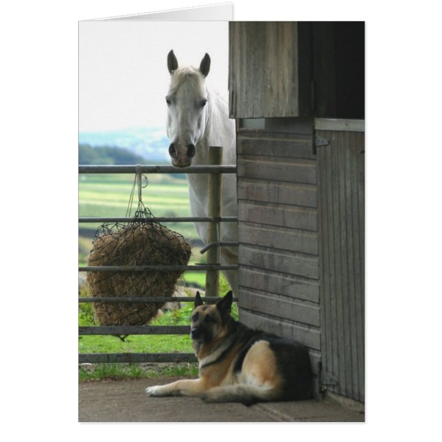 Horse and Dog (Front)