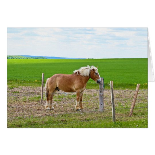 Horse and Field Card
