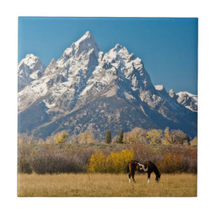Horse and Grand Tetons, Moose Head Ranch Ceramic Tile