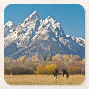 Horse and Grand Tetons, Moose Head Ranch Square Paper Coaster