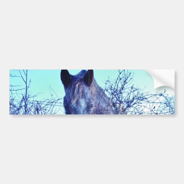 Horse and  Heart Bumper Sticker (Front)