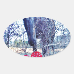 Horse and Heart Oval Sticker