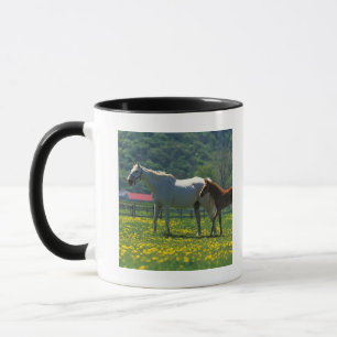 Horse and her foal standing in a field mug
