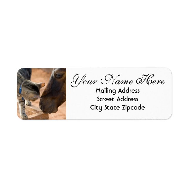 Horse and Kitten Return Address Label (Front)