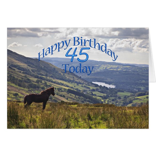 Horse and landscape 45th birthday card (Front Horizontal)