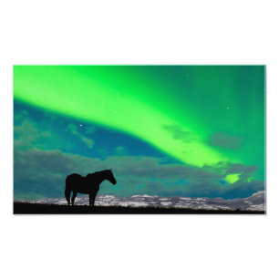 Horse and Northern Lights, Yukon Photo Print
