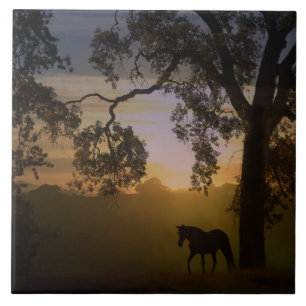 Horse and Oak Tree Sunset Art Tile