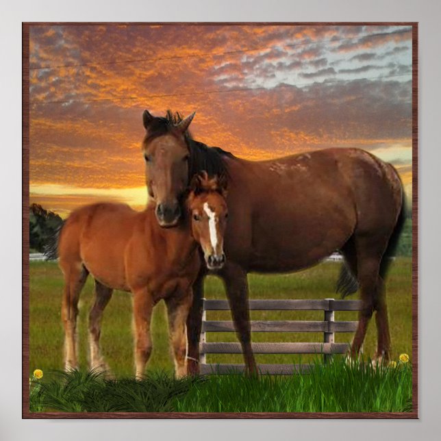 Horse and poney poster (Front)