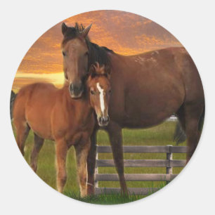 Horse and pony classic round sticker