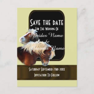 Horse and pony equestrian save the date announcement postcard