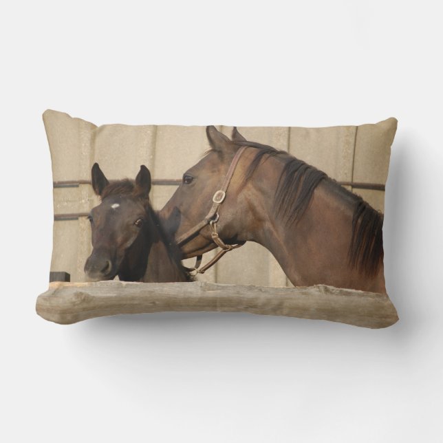 Horse and Pony Lumbar Cushion (Front)