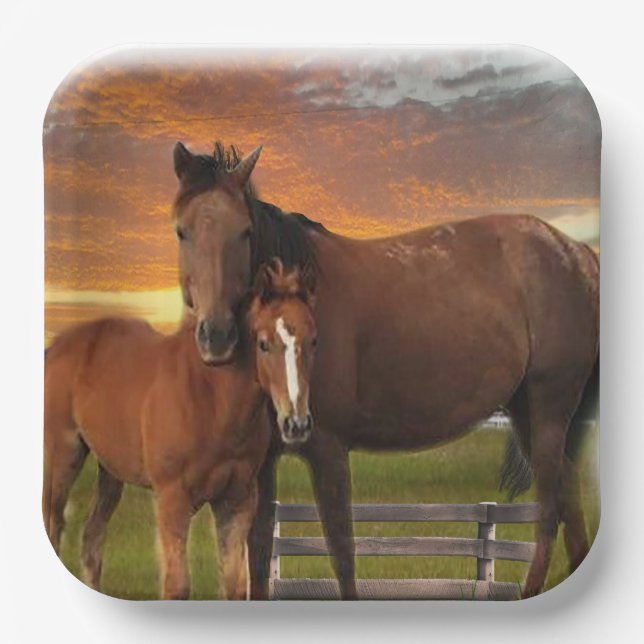 Horse and pony paper plate (Front)