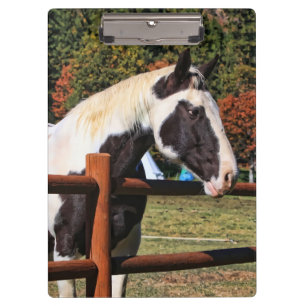 HORSE AND RAIL FENCE CLIPBOARD