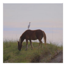 Horse and rider in the dunes
