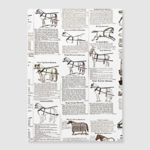 Horse Antique Advertising Newspaper Art