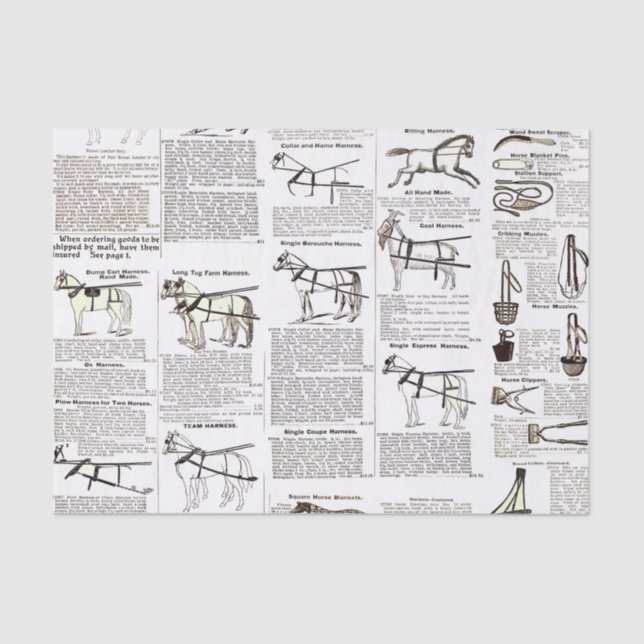 Horse Antique Advertising Newspaper Art Tissue Paper (Front)
