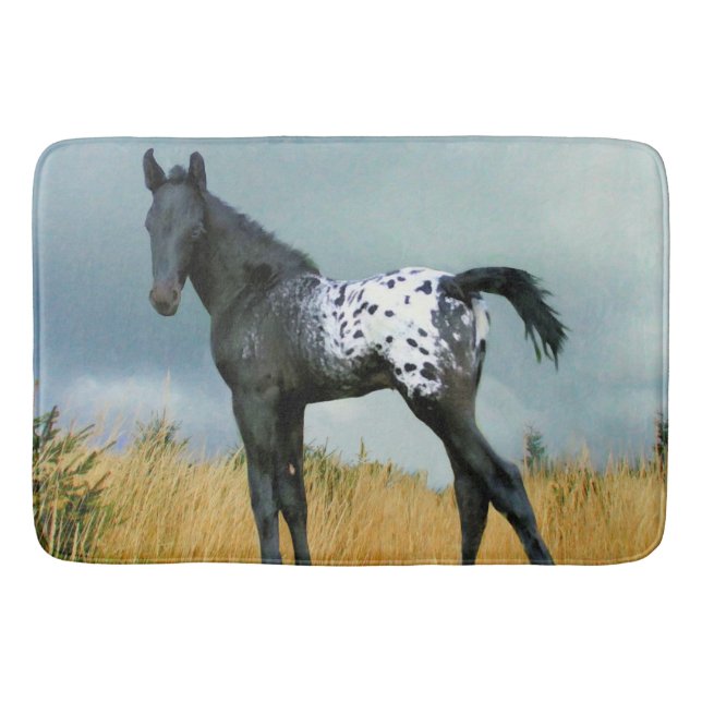 Horse - Appaloosa Colt 24" x 36" Large Bath Mat (Front)