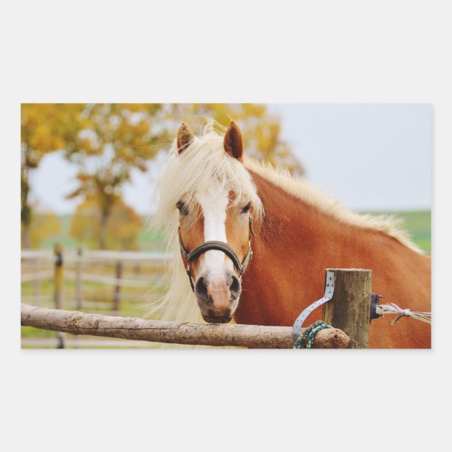 Horse At Gate Rectangular Sticker (Front)