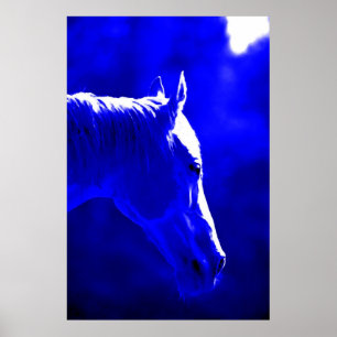 Horse At Night - Horse In Moonlight Print