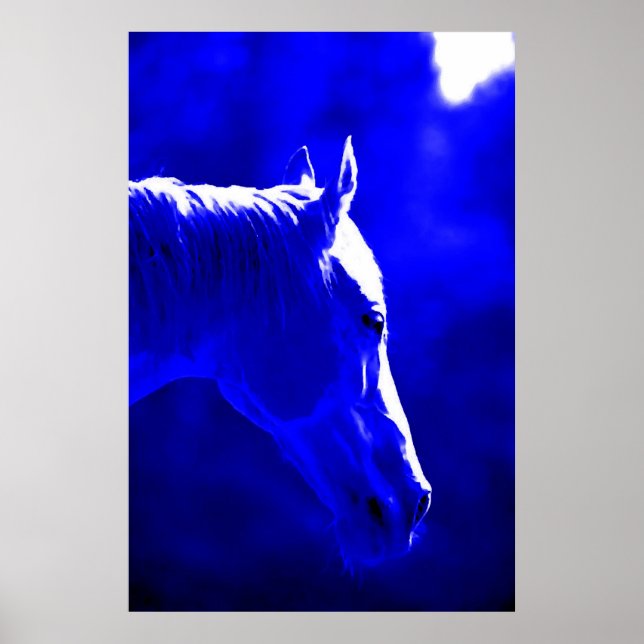 Horse At Night - Horse In Moonlight Print (Front)