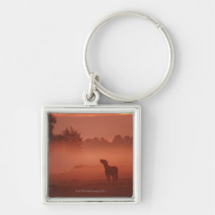 Horse at sunrise key ring
