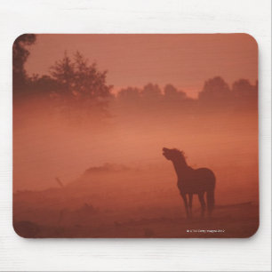 Horse at sunrise mouse pad